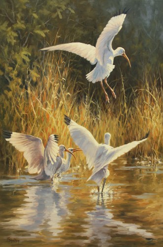 Winged Affair